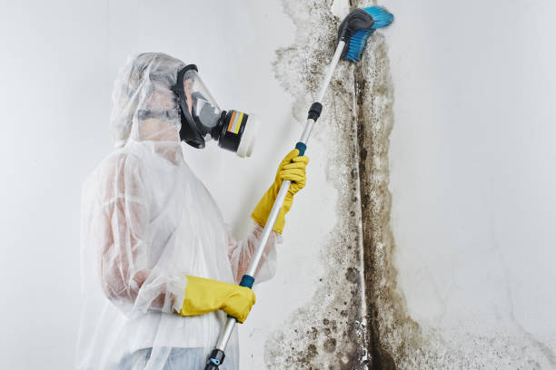 Water damage restoration insurance claims in Marengo, IA